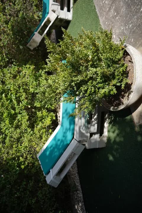 Exterior y piscina